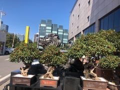 -燕莎友谊商城(亮马桥店)