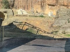 -杭州野生动物世界
