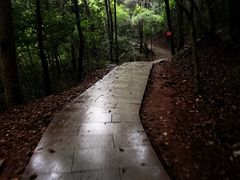 -十里琅珰