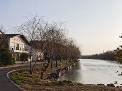 -广富林郊野公园