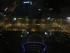 -南京维景国际大酒店(南京博物院店)