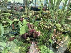 -国家植物园南园