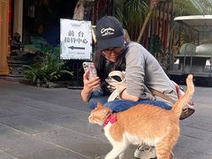 -百益上河城