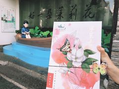 -好一朵茉莉花(老门东店)