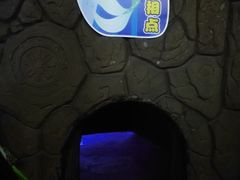 -成都浩海立方海洋公园