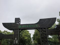 -溱湖国家湿地公园