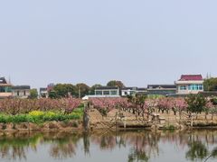 -张家港凤凰山景区河阳山歌馆