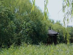 -塘沽森林公园