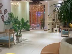 大堂-藏猫猫咖啡主题馆(中央大道店)