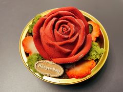 -哈根达斯(扬州瘦西湖店)