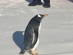 -沈阳奥体冰雪嘉年华