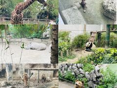 -成都动物园