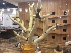 -袖虎·猫馆(体育西路店)