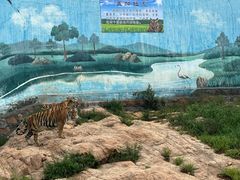 -西霞口神雕山野生动物世界