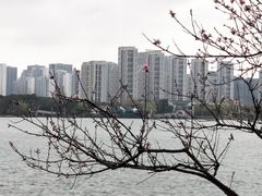 -石湖景区