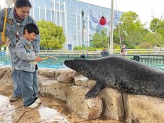 -芜湖新华联大白鲸海洋公园