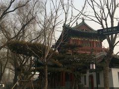 -迎泽公园