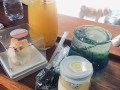 -柴犬高等学院·狗咖·柴犬售卖·宠物训练