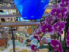 -上海世纪汇广场