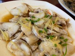 -俊江海鲜酒店(海陵岛白蒲市场店)