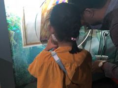 -陕西自然博物馆