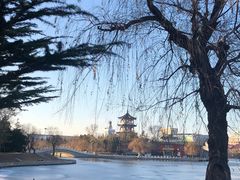 -莱西月湖公园