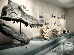 -自贡恐龙博物馆
