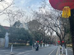 -桃花源精菜馆(玉泉路店)