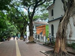 -九龙公园