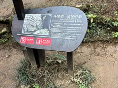 -梭布垭石林景区