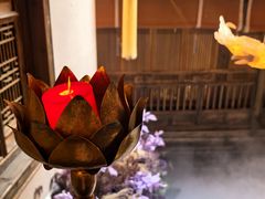 -叶叶菩提(太原别墅店)