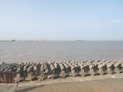 -上海滨江森林公园