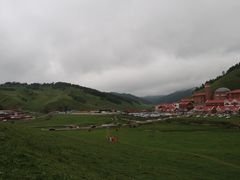 -关山草原