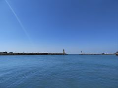 -芒洲湿地公园