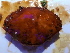 -谢蟹浓·肉蟹煲(新奥店)