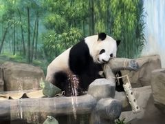 -灵玲国际马戏城