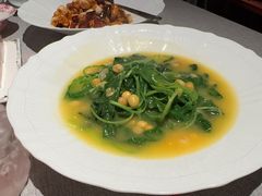 -星·South Beauty·俏江南(国贸店)