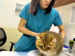 -美联众合动物医院·24h转诊中心