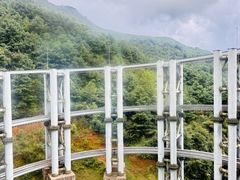 -玉舍国家森林公园