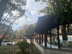 -亭林公园