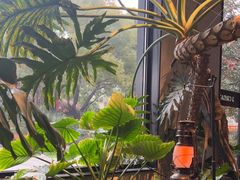 -J Create城市露营咖啡·简餐·宠物(上海动物园店)