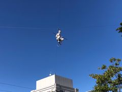 -布里斯班南岸公园