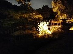 -申粤轩酒楼·三十年粤菜经典(丁香花园店)