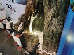 -客天下梦幻冰雪乐园