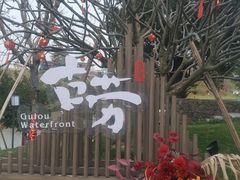 -江门古劳水乡旅游区