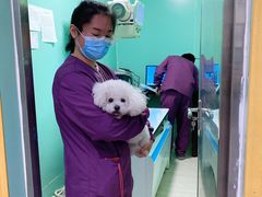 -暖阳宠物医院·犬猫康复中心·骨科