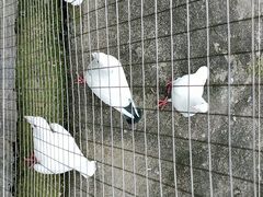 -凤凰沟景区