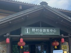 -黄陂区野村谷景区