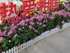 -西北湖绿化广场