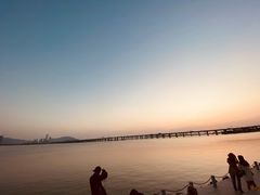 -宝安西湾红树林湿地公园